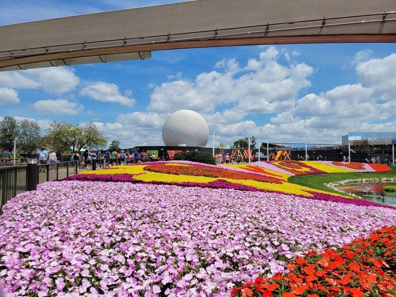 A52 5g Review S21 Flowerfield Epcot