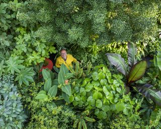 The view from above of a foliage packed garden and the owner