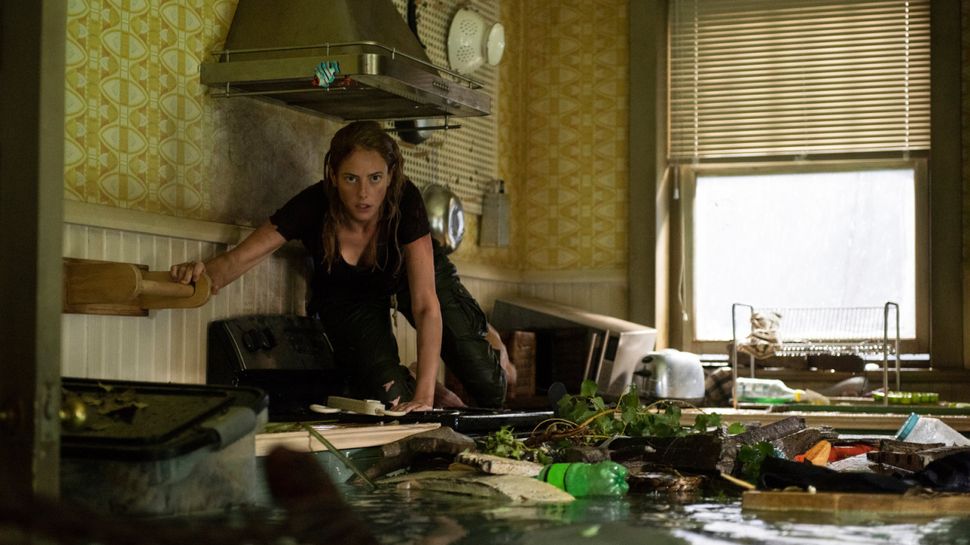 32 Scary Animal Movies That Aren't About Dinosaurs Or Sharks | Cinemablend