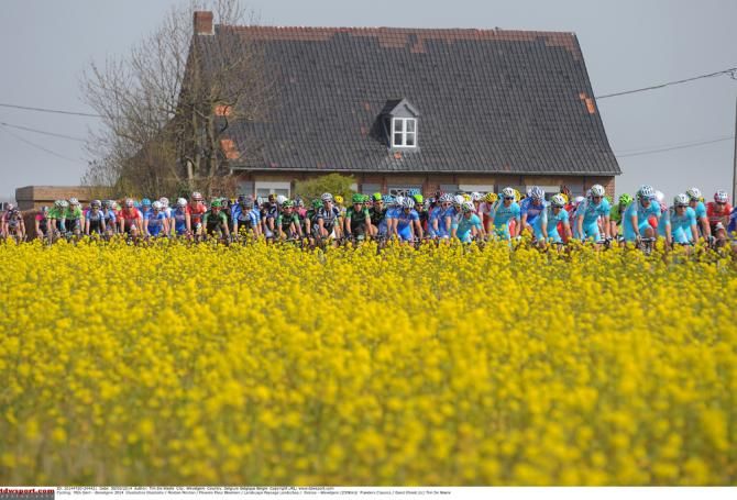 Picture perfect at Gent - Wevelgem