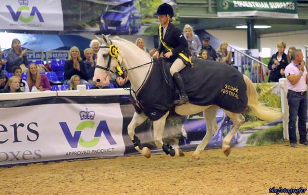Katie Shaw &amp;amp; Fools Business Smarter Traing 1.15m Supreme Champ