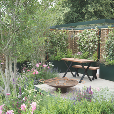 Green garden with pink flowering plants, climbing flowers and a patio with a water feature.