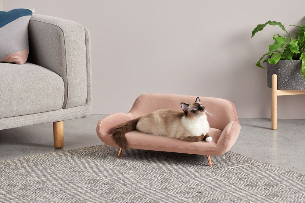 kyali dog sofa