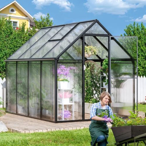 Black metal and glass greenhouse i garden