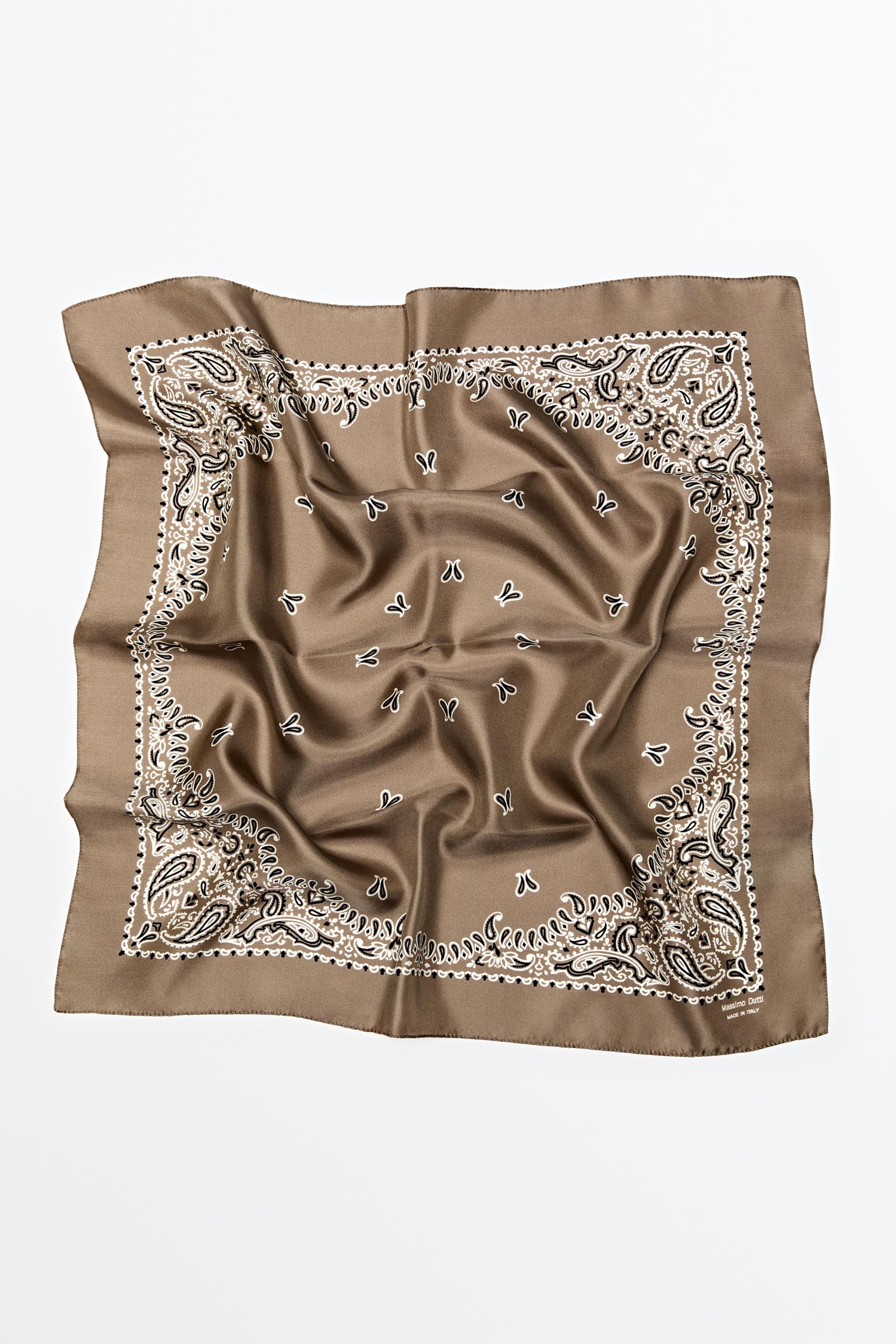 Paisley Print Scarf