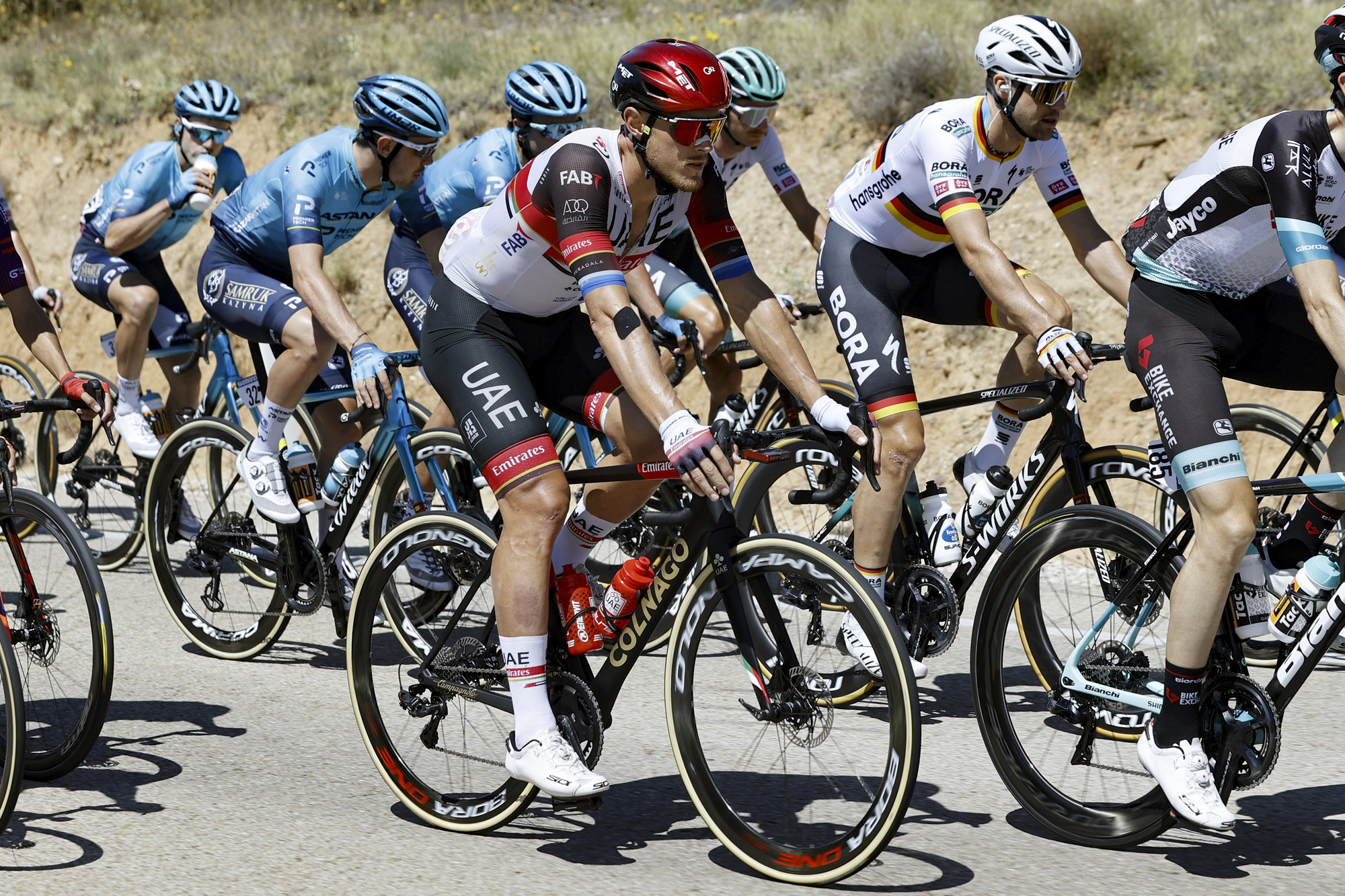 Vuelta Espana 2021 - 76th Edition - 4th stage El Burgo de Osma - Molina de Aragon 163,9 km - 17/08/2021 - Matteo Trentin (ITA - UAE Team Emirates) - photo Luis Angel Gomez/BettiniPhotoÂ©2021