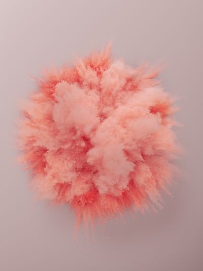 Pink, Red, Fur, Peach, Textile, Feather boa, Feather, Flower,