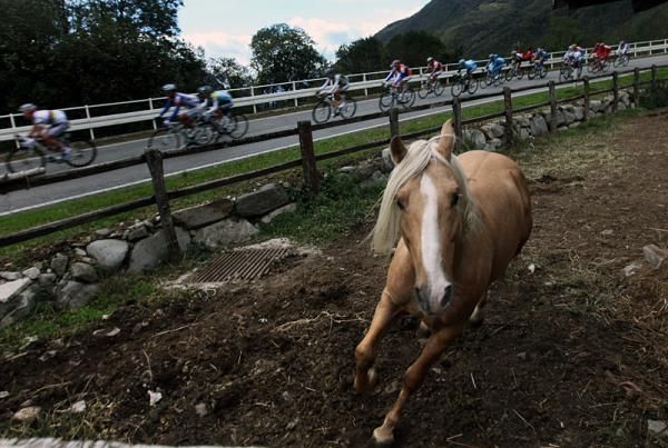 Horsing around at the Giro di Lombardia.
