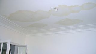 Stains on a white ceiling