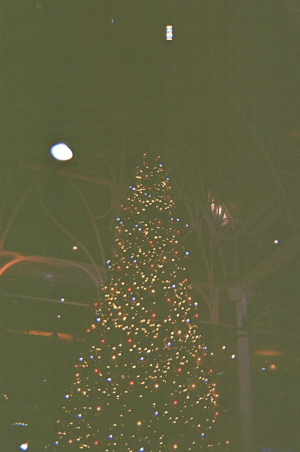 A photo of a Christmas tree taken on a Novocolor Swiss+Go 35mm film camera