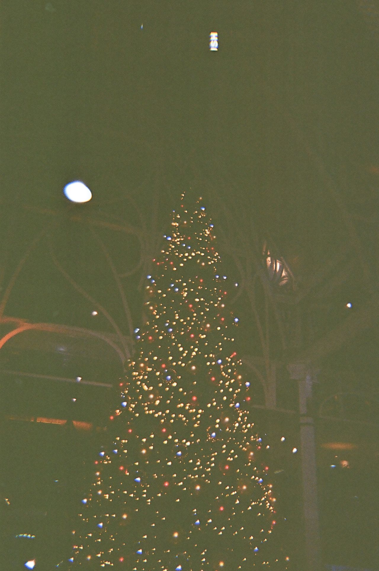 A photo of a Christmas tree taken on a Novocolor Swiss+Go 35mm film camera