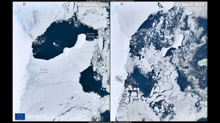 The Conger ice shelf in East Antarctica in January this year (image on the left) still intact. Then on March 21 after it collapsed amid a heatwave (image on the left).