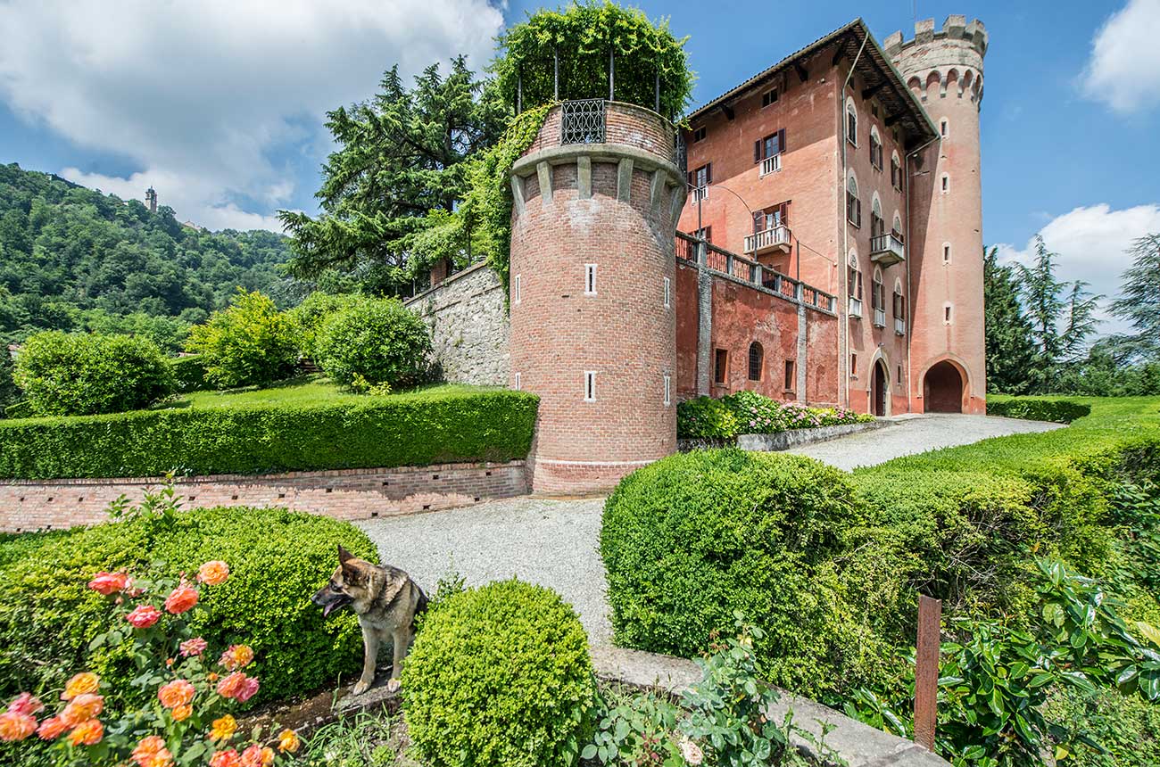 Piedmont property vineyards