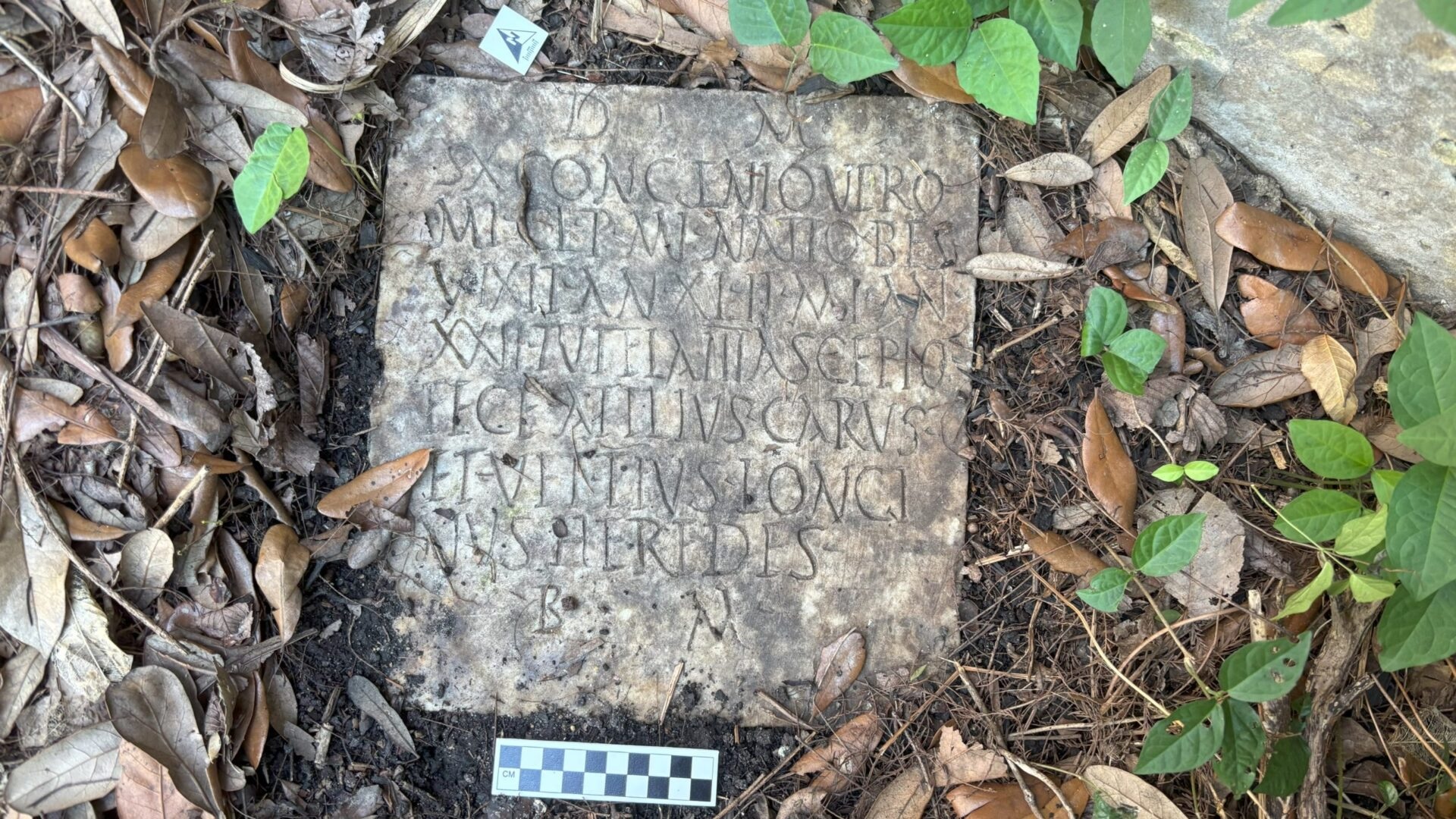 a close-up of a square tombstone with Latin inscriptions