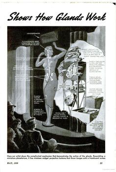 Popular Science described a model from the 1939 World's Fair, an alternative to real human specimens.