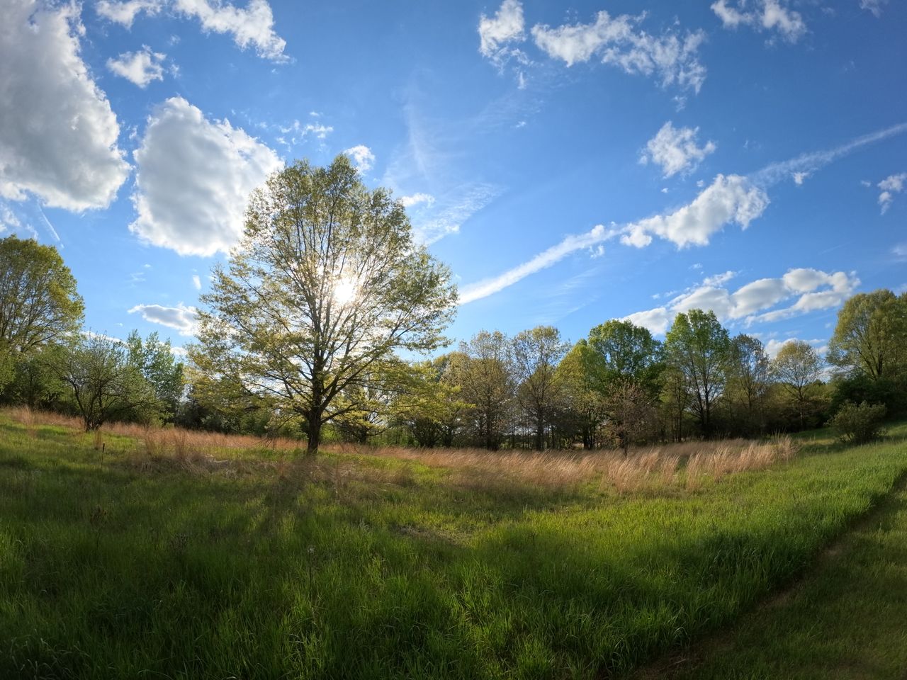 A sample image shot with the GoPro Mission 1 Pro