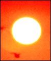 sun2.jpg