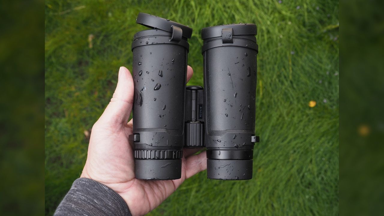 Olympus 4x2 Pro binoculars in the rain