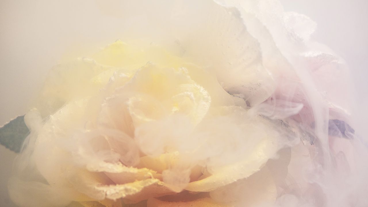 Flowers underwater with milk and colourants