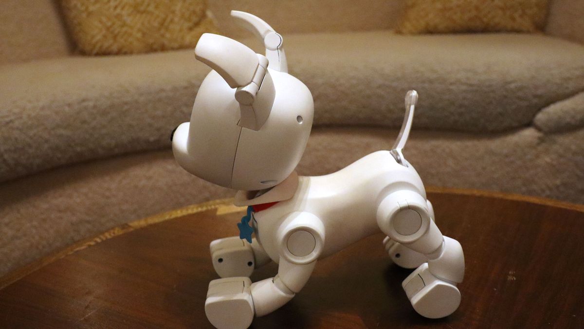 WowWee DogE is a robot pet that's finally completely unique to you