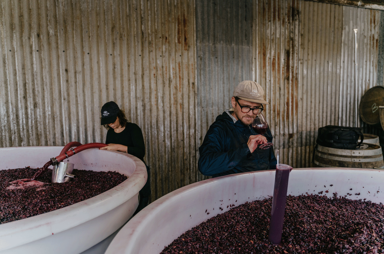 Winemaking at Cupitts Estate