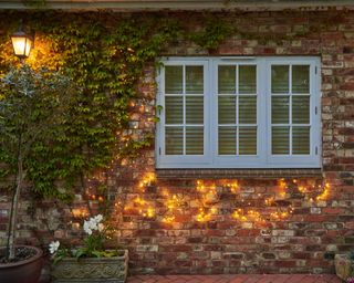 ivy solar lighting on garden wall from Sparkle Lighting