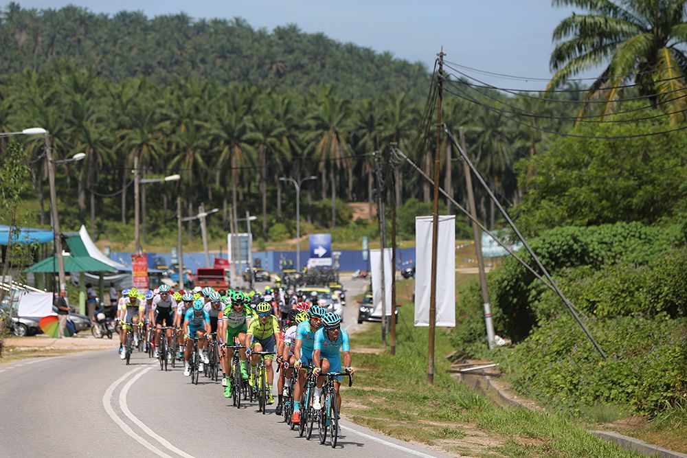 The peloton winds its way through the countryside