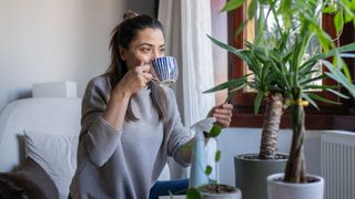 Woman taking mint off a plant at home, holding a cup to her lips after making mint tea