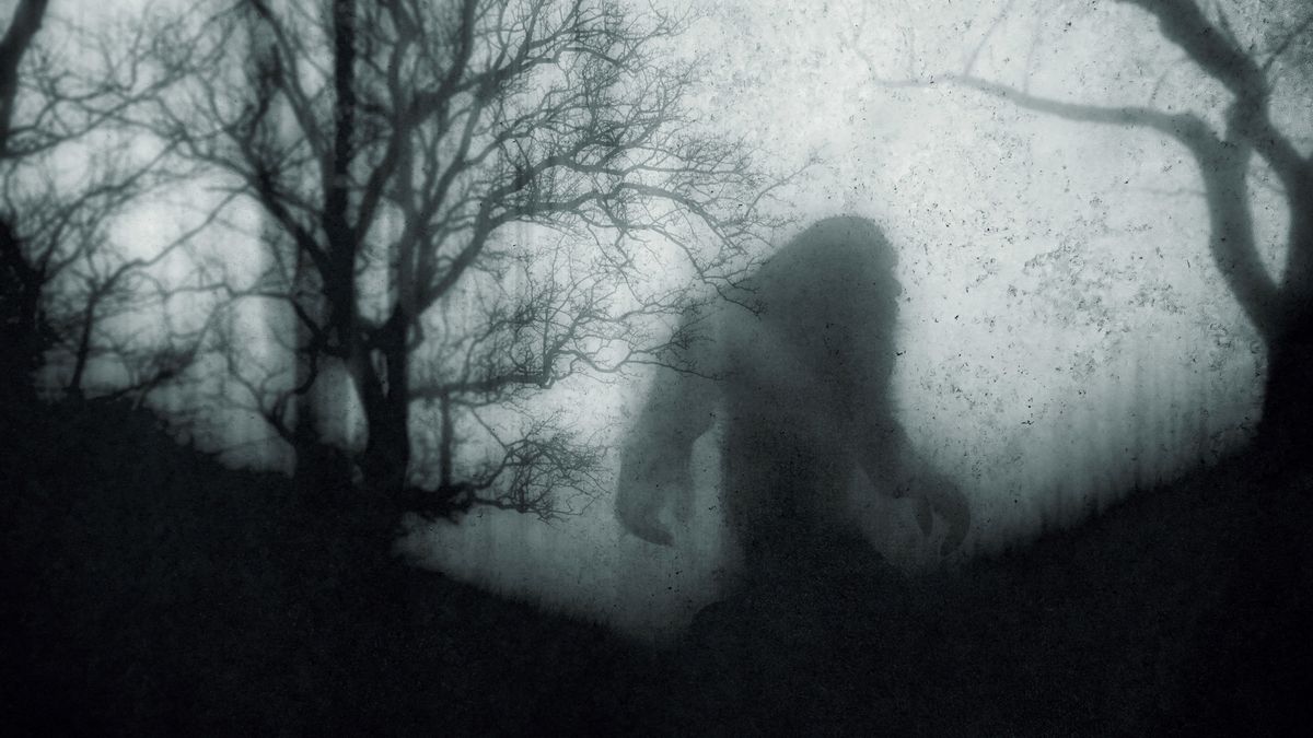 A concept image of a Bigfoot silhouette walking through a forest.