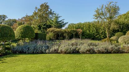 Garden area with a pergola, green grass lawn and flowerbeds and mature shrubs and trees