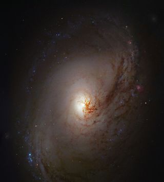 Robert Gendler (USA) is a well known figure in the amateur image processing world. His version of Hubble’s image of NGC 3190 is the default desktop image on new Apple computers. Robert submitted a number of excellent images into the competition. This image of Messier 96 was the jury’s favourite.