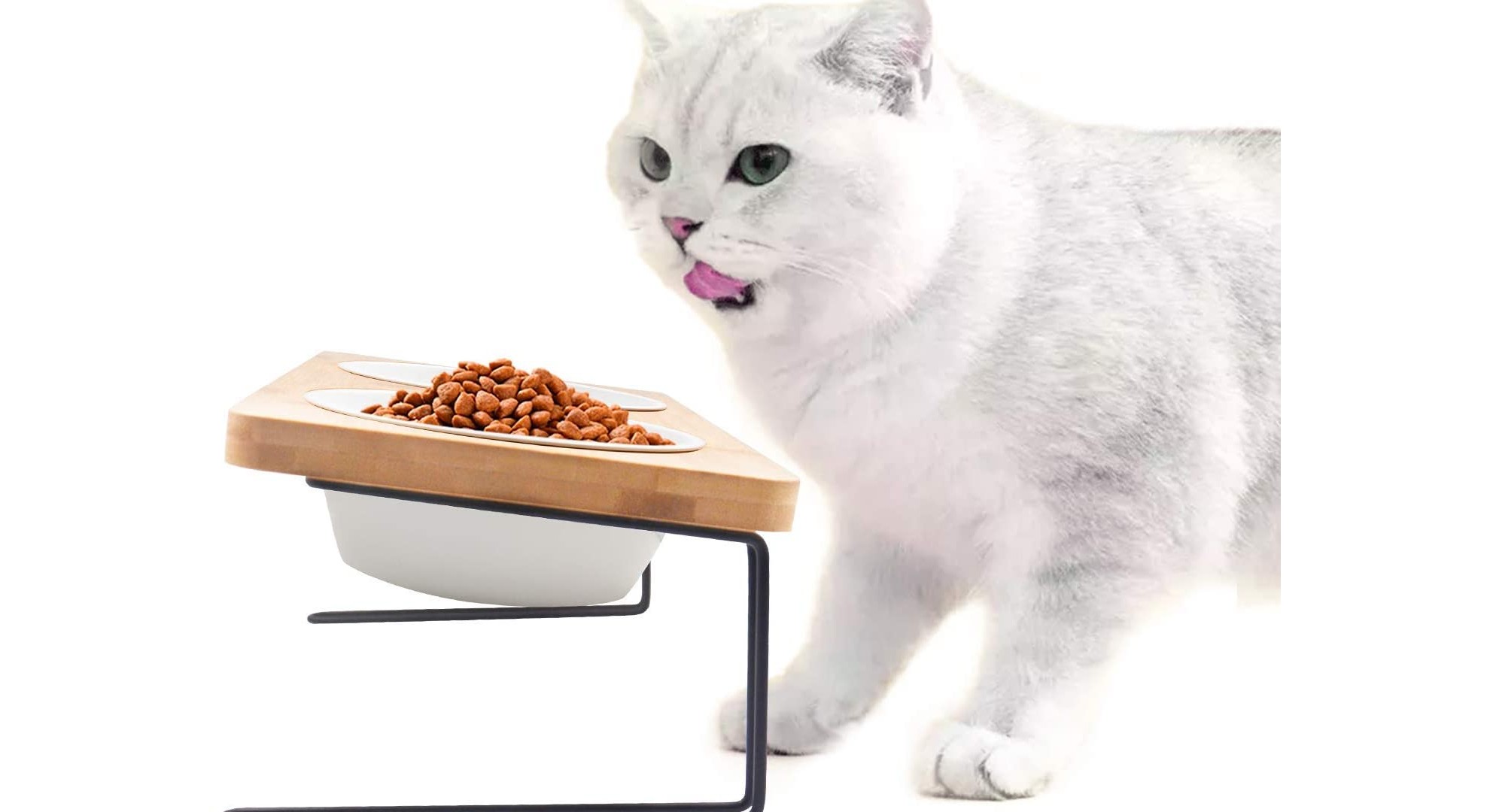 Best antivomit bowls for cats 2024 PetsRadar