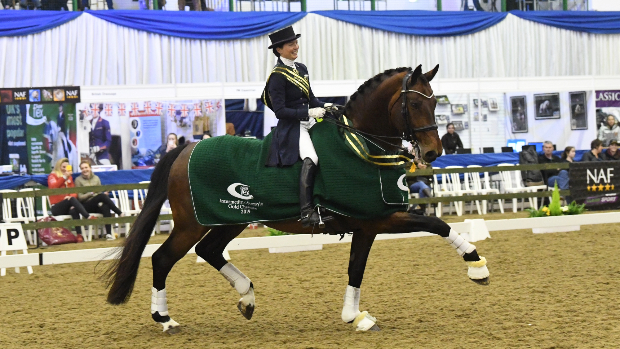 Durable Durable, KWPN grand prix dressage stallion at stud with Nikki Barker in Norfolk