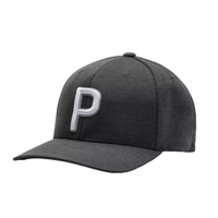 Puma P110 Snapback Hat | 27% off
Was $29.99 Now $21.98