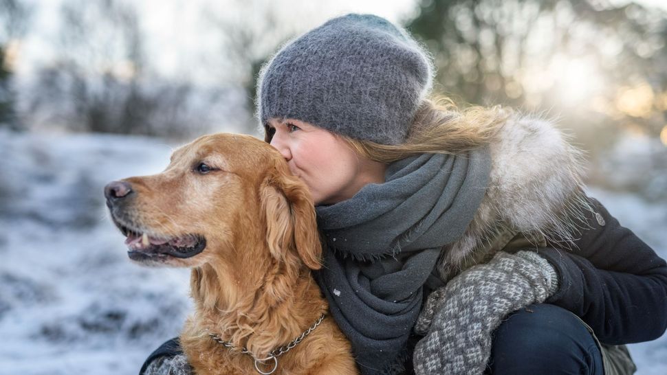How to keep a dog warm outside 7 tips for cold weather PetsRadar