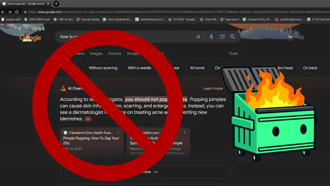 A “RAGING TRASH FIRE!” People really don’t like Google’s “plagiarized and often incorrect AI summaries above its search results” 🤮