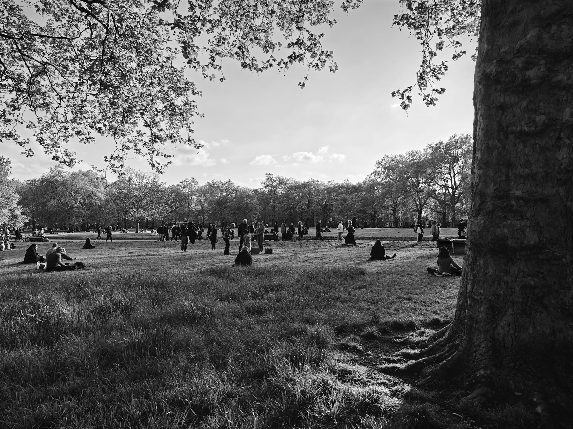 Leica filters on Xiaomi 15