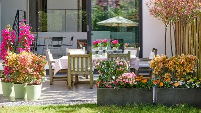a modern patio with colorful flowers