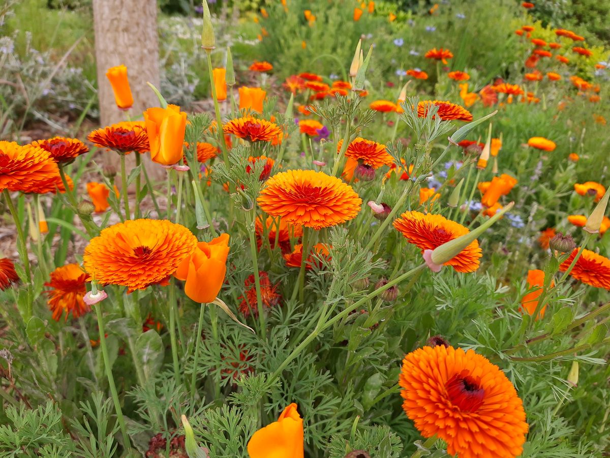 In certain situations, images can have a real sense of depth and pop. Image credit: TechRadar