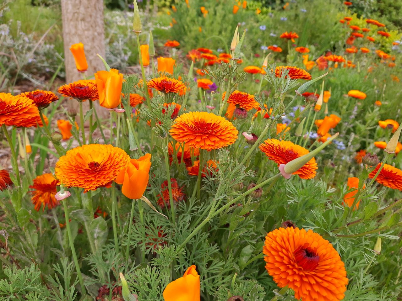 In certain situations, images can have a real sense of depth and pop. Image credit: TechRadar