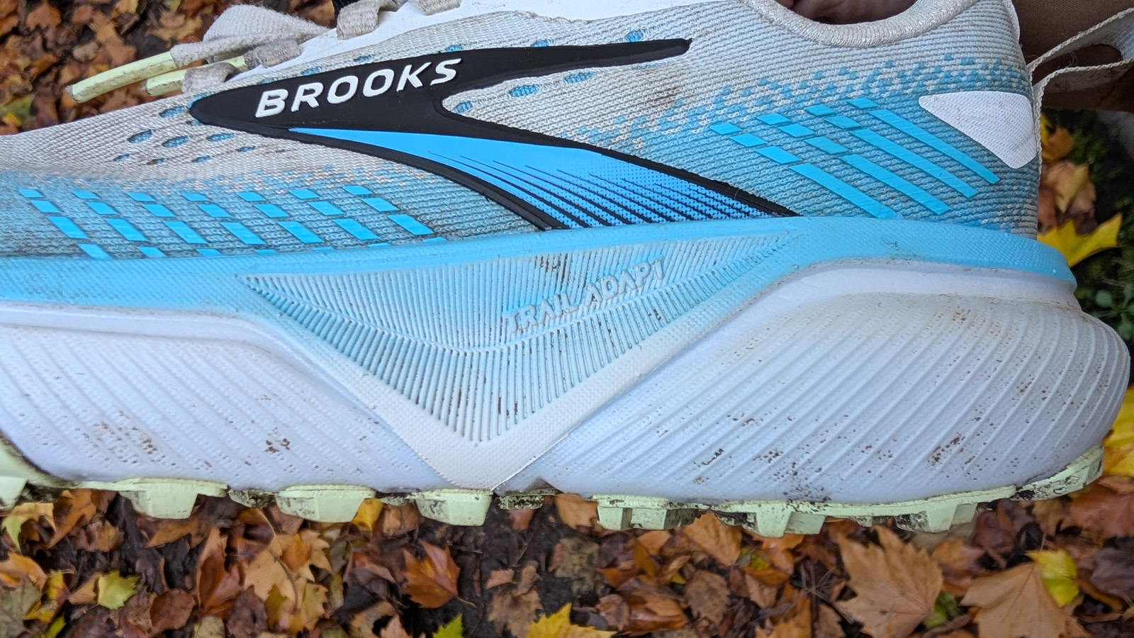 Brooks Cascadia 20 review