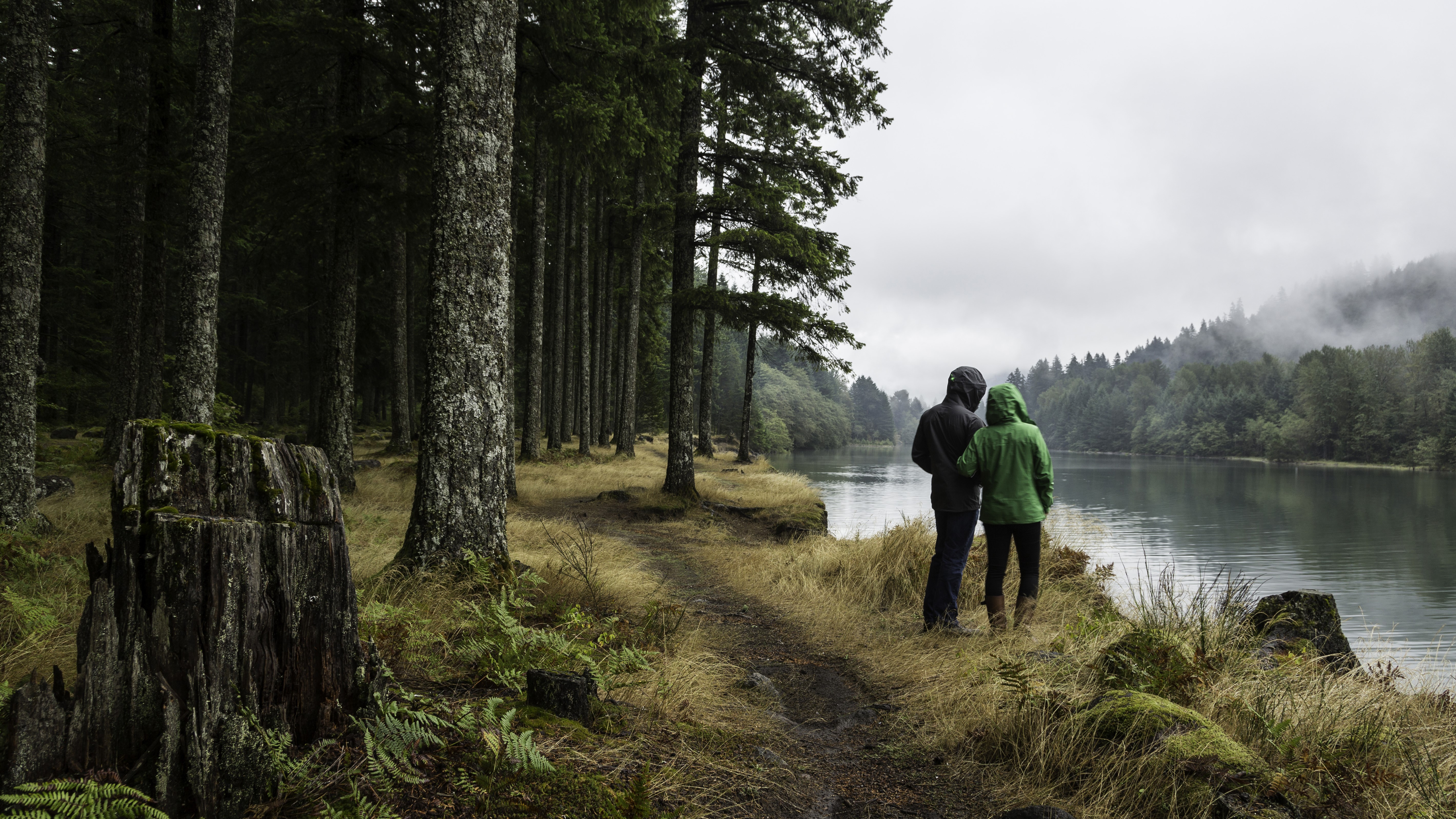 hikers in the woods look out over a lake