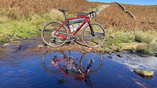 Trek Checkpoint SL6 artfully parked by a river