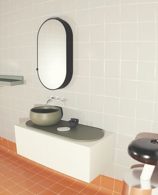 Mirror on wall, shelve, basin on counter