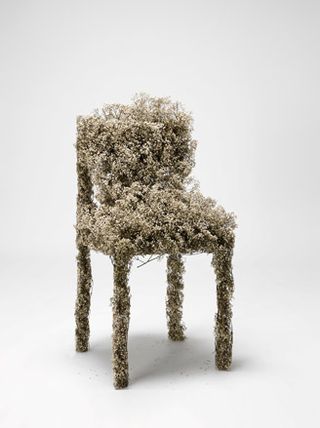'Harvest' chair