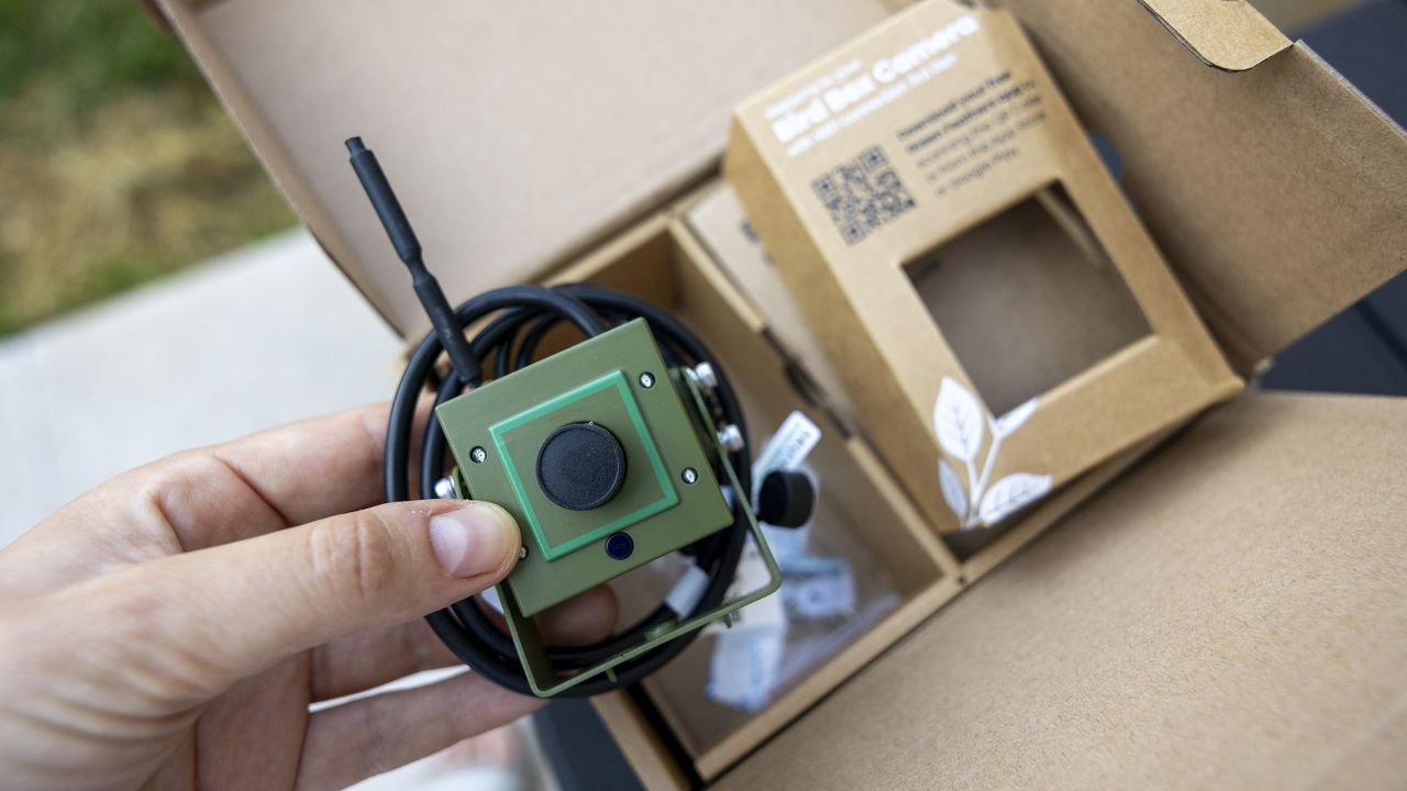 A female hand holding the Green Feathers HD WiFi bird box camera in a summer garden