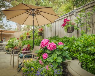 Private backyard with hydrageas, umbrellas and fencing