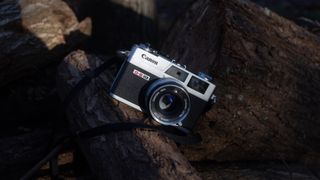 Canon Canonet G-III QL17 set on a pile of logs