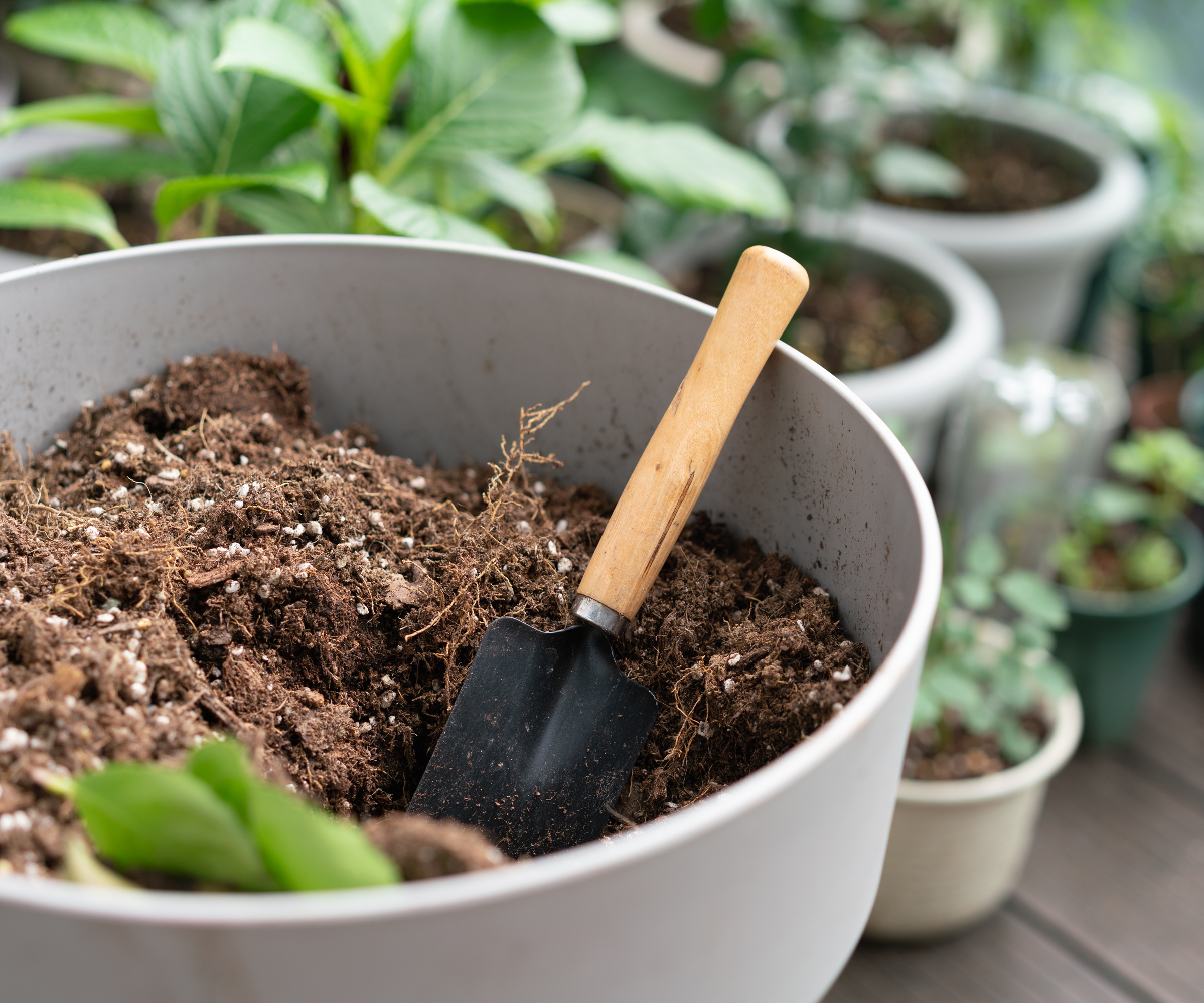 Mixing compost with vermiculite