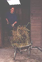 BF0E7B26-7236-4F0C-8496-25287CFFFB05.jpg